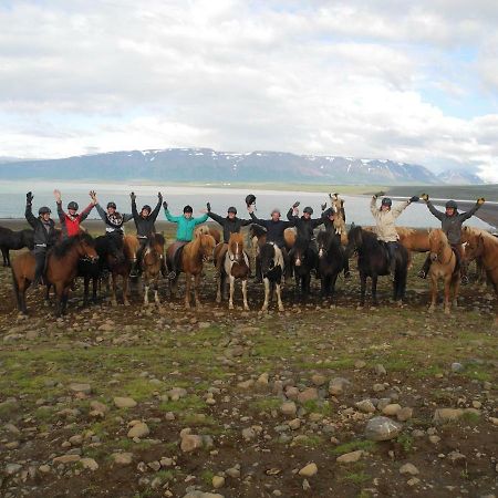 Icelandhorsetours - Helluland Saudarkrokur 외부 사진