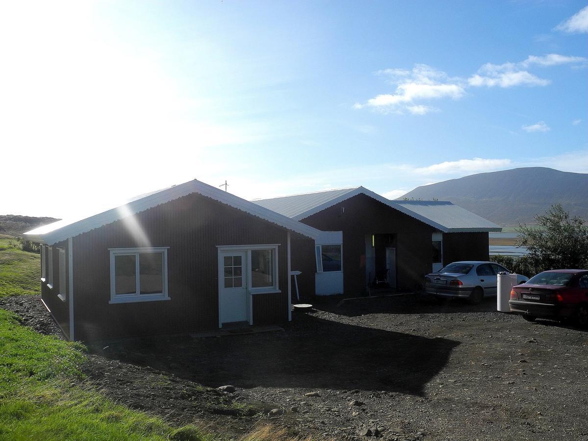 Icelandhorsetours - Helluland Saudarkrokur 외부 사진