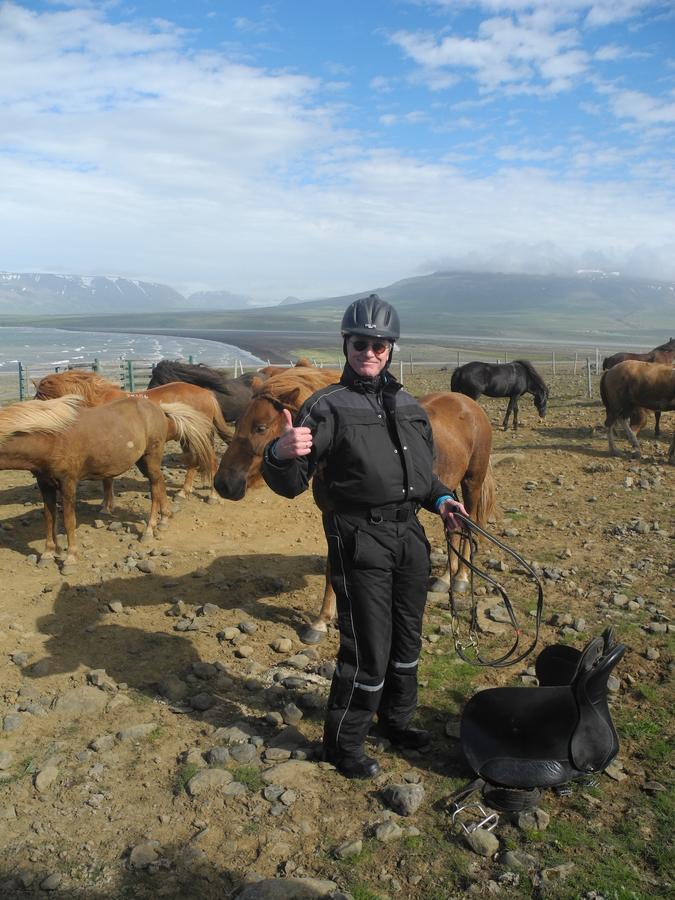 Icelandhorsetours - Helluland Saudarkrokur 외부 사진