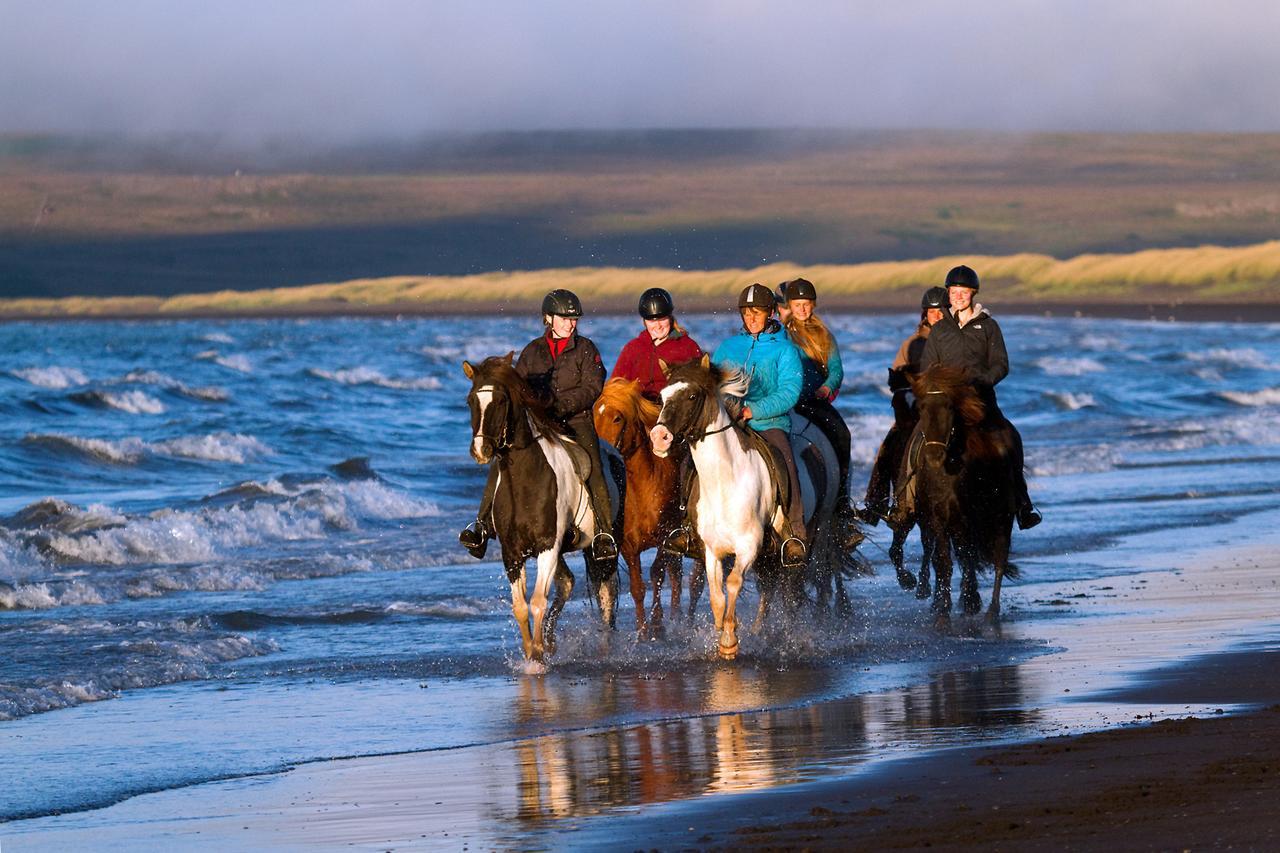 Icelandhorsetours - Helluland Saudarkrokur 외부 사진
