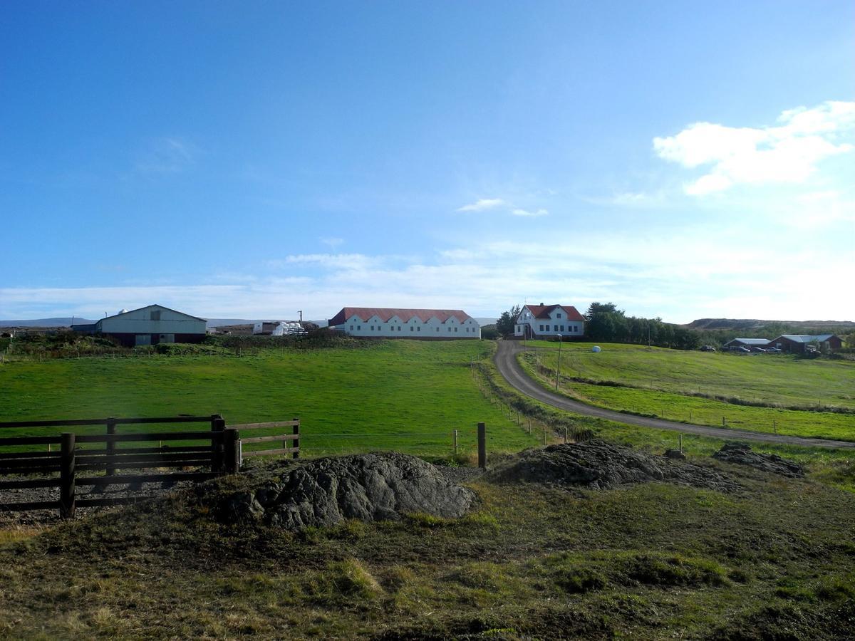 Icelandhorsetours - Helluland Saudarkrokur 외부 사진