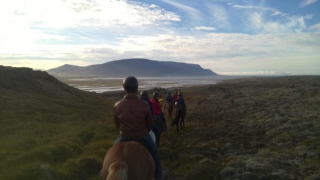 Icelandhorsetours - Helluland Saudarkrokur 외부 사진