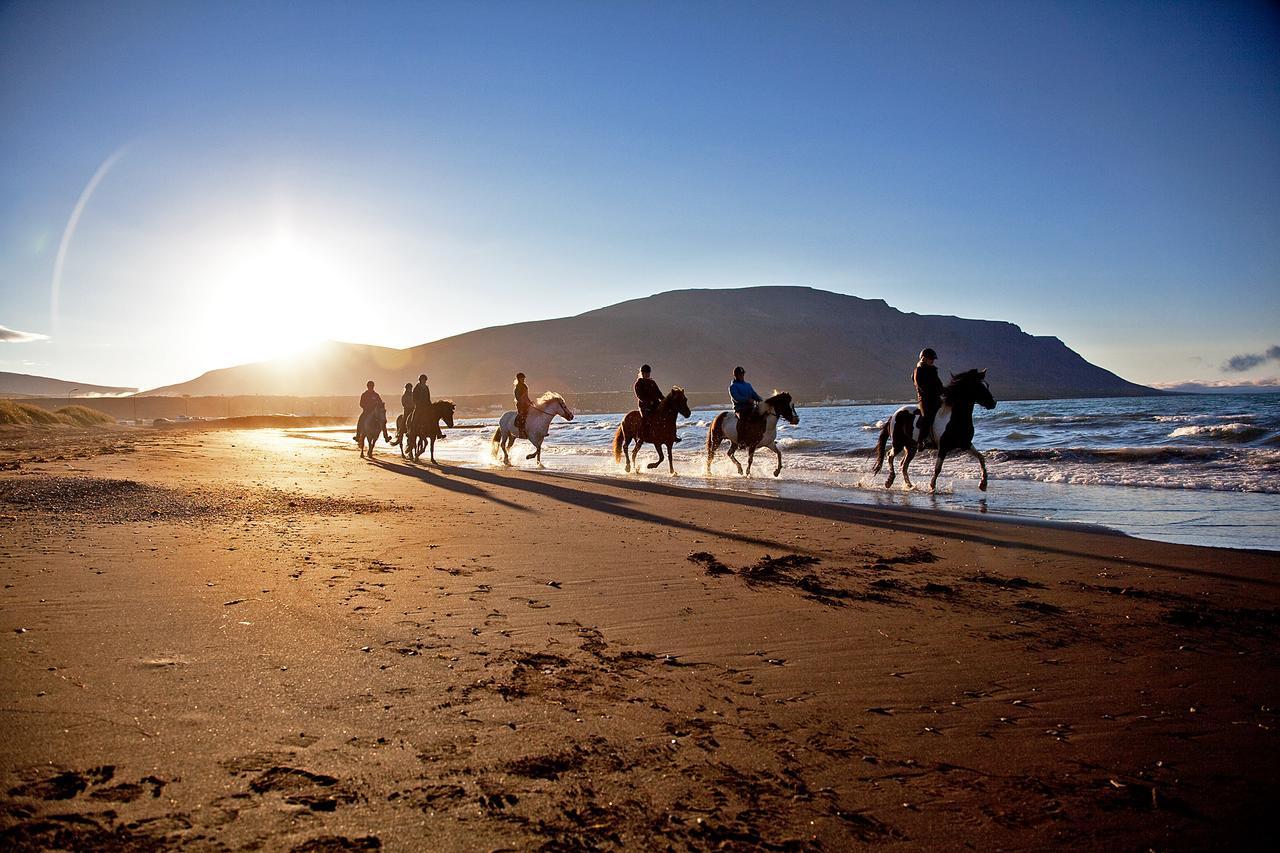 Icelandhorsetours - Helluland Saudarkrokur 외부 사진
